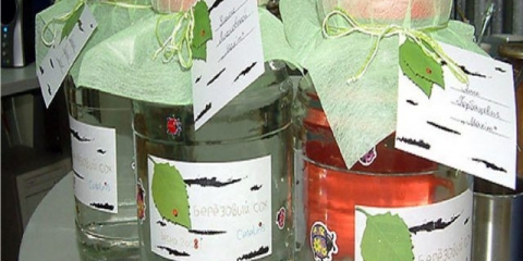 Kako sačuvati brezov sok